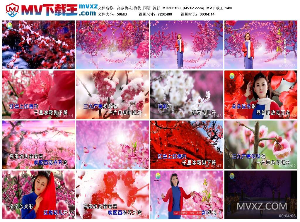 高咏梅-红梅赞_国语_流行_MD306160